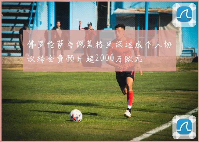 佛罗伦萨与佩莱格里诺达成个人协议转会费预计超2000万欧元