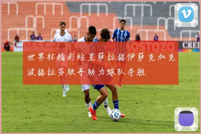 世界杯精彩纷呈萨拉赫伊萨克加克波赫拉芬联手助力球队夺胜